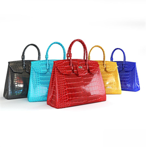 Hermes Birkin Bag